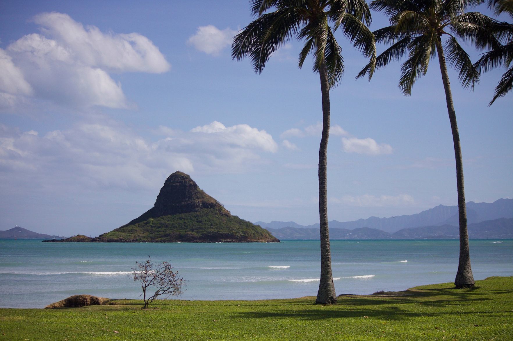 3. Can I go to Hawaii as planned?